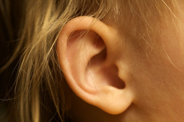 Mechanism for Inner Ear Cell Regeneration Found!