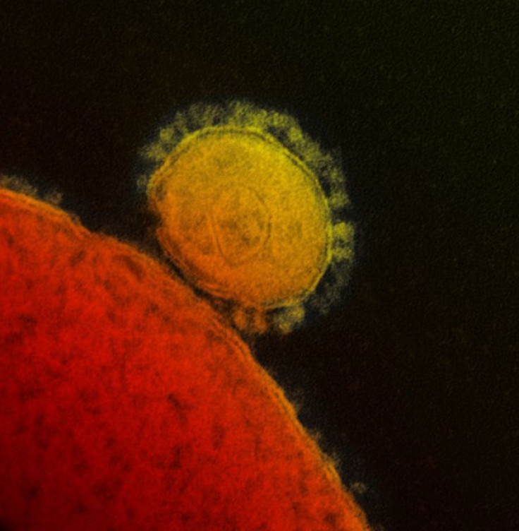 Latest research reveals important differences in how the new MERS coronavirus (pictured above) and the SARS virus from 2003 afflict patients.  