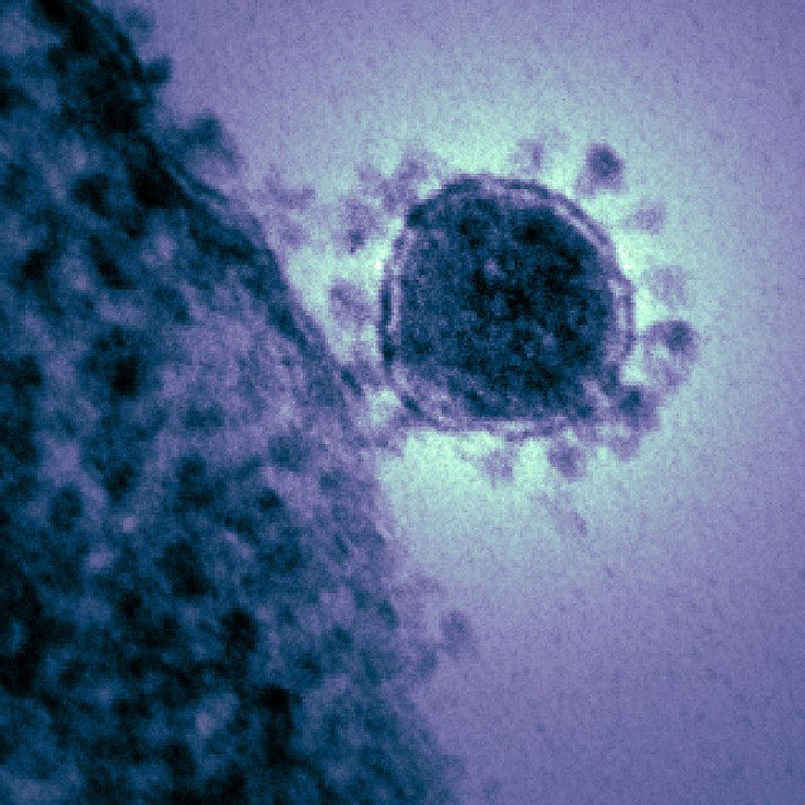 MERS virus