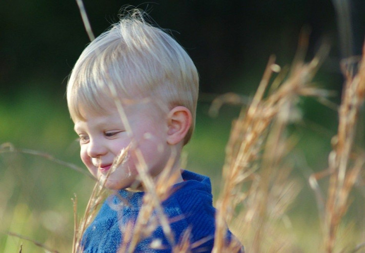 Researchers Find Elevated Levels of Gluten Antibodies in Autistic Children