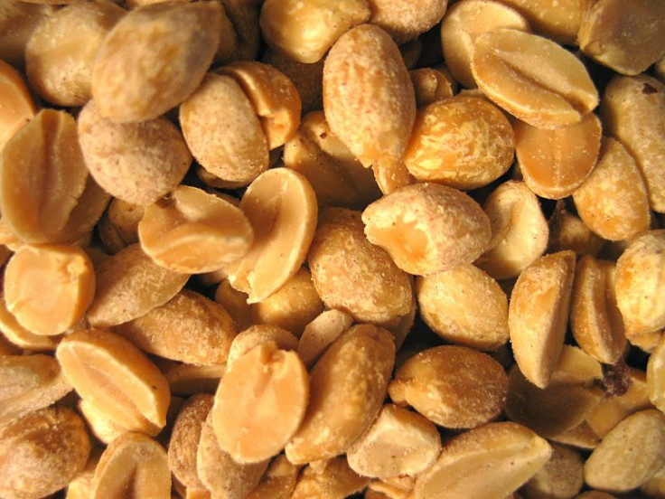 Peanut Patch