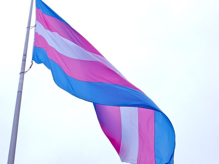 Transgender Flag