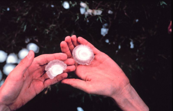 Singapore Hailstorm Offers Relief After Over a Week of Hazardous Haze