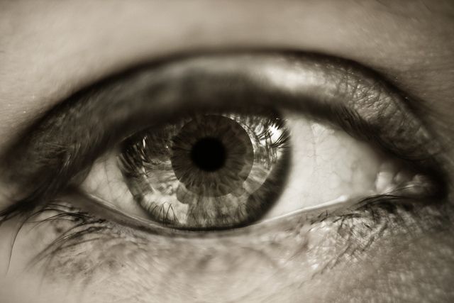 Telescope Eyes: Contact Lenses With A Built-In Zoom Developed For ...