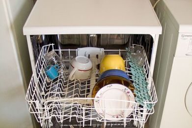 Household dishwashers are supposed to be cleaning appliances, but they're also breeding grounds for pathogenic species of fungi.