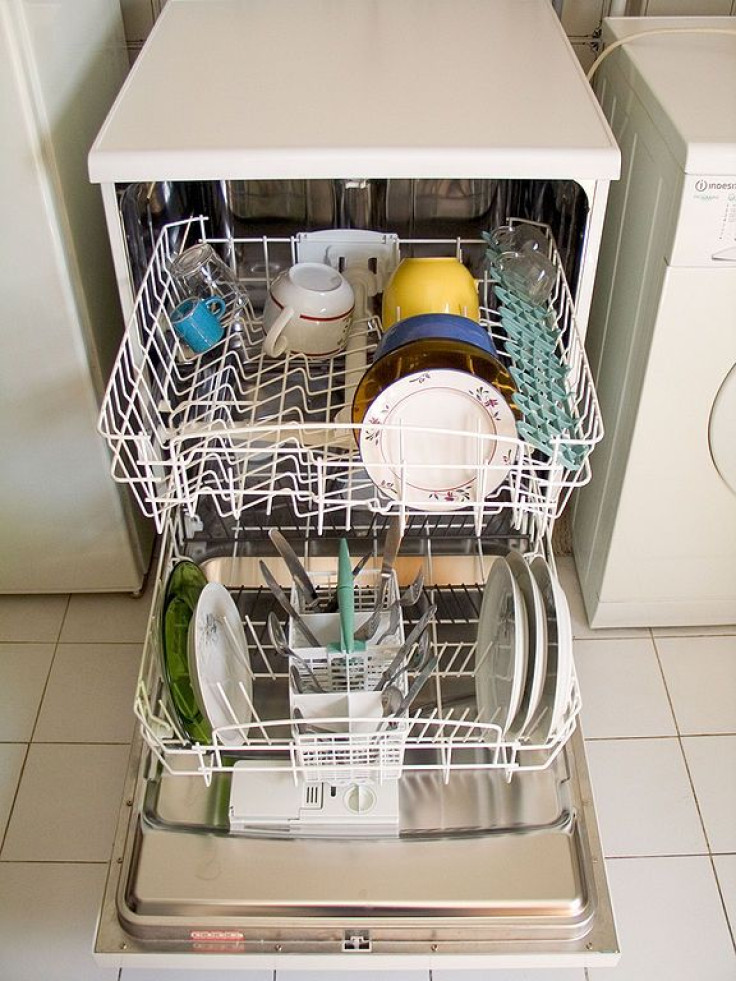 Fungi Grow in High Numbers Within Household Dishwashers