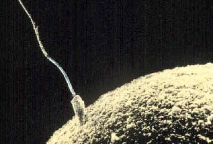 Exposure to Smoking and Other Early Life Factors Can Influence Sperm Quality in Adulthood