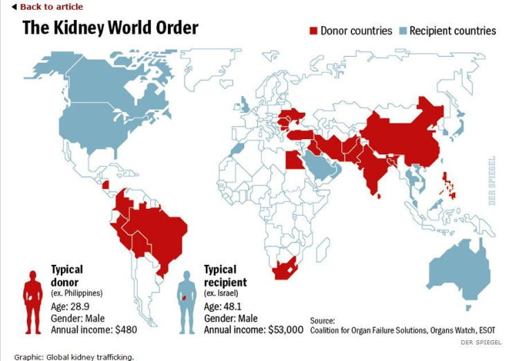 The Kidney World Order