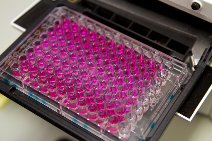 Genetic analysis in a cell plate