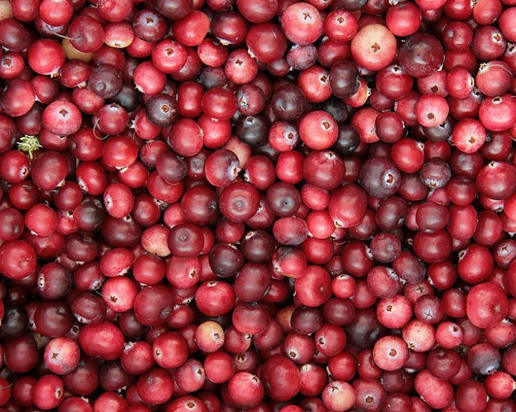 Cranberries Weaken UTI Bacteria's Ability To Be Infectious 
