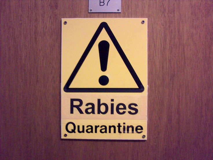 Rabies
