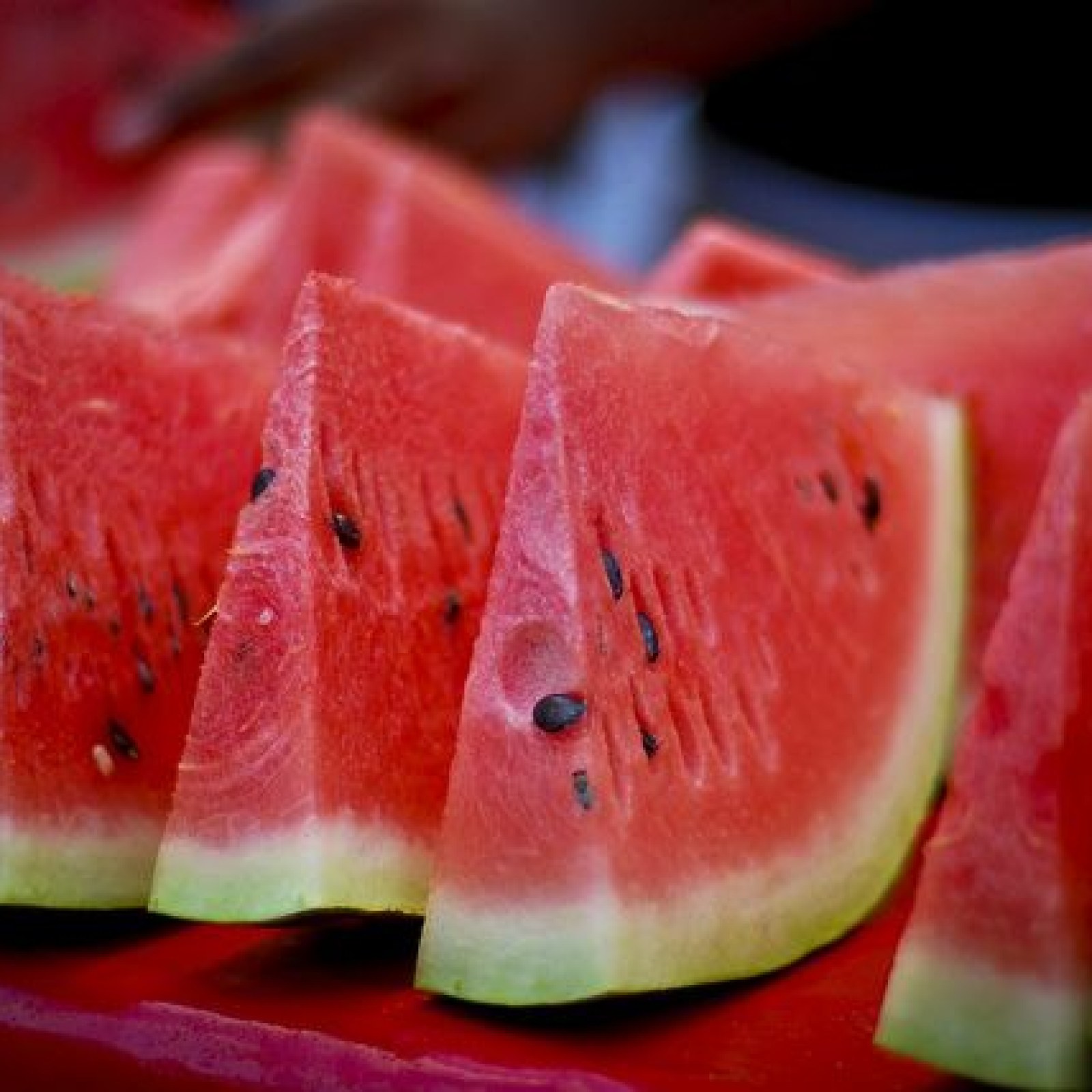 semaglutide and watermelon semaglutide constipation lawyer in dallas FDA Semaglutide Investigation Defense-150cent Is Watermelon Good for Weight