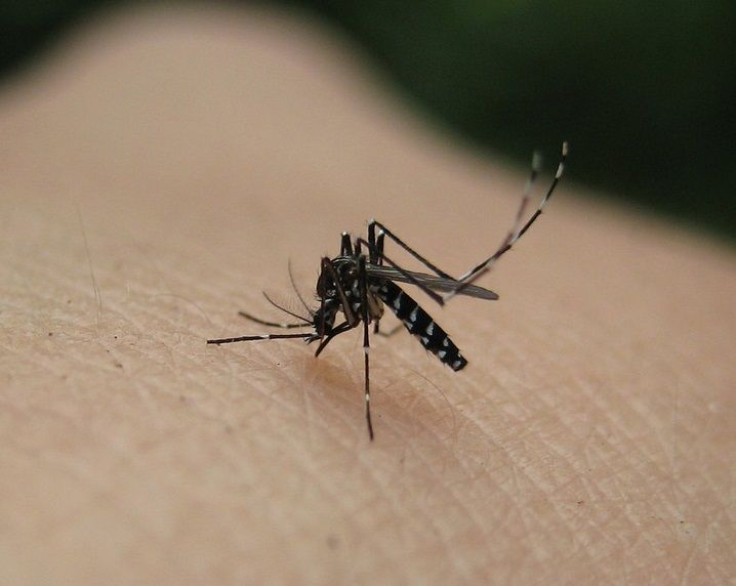 Dengue Fever Outbreak Kills 16, Causes State of Emergency in Honduras