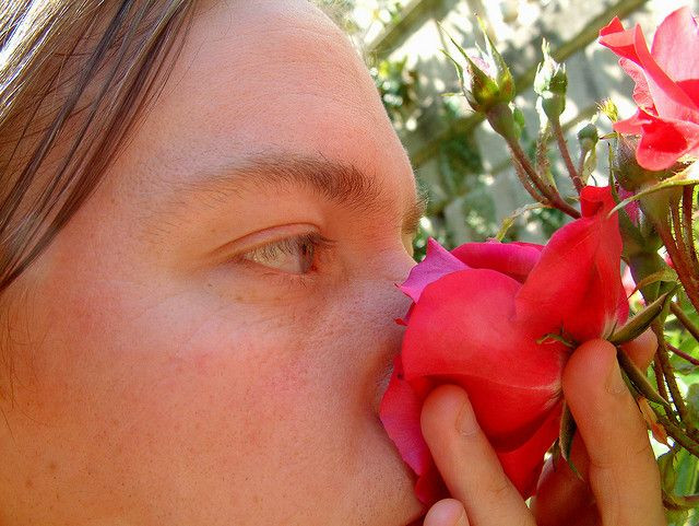 Smelling
