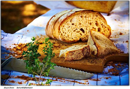 bread