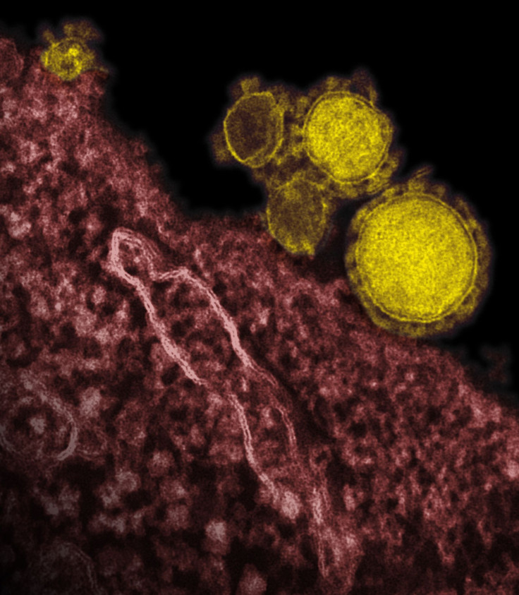 MERS Infects Two Health Workers In Saudi Arabia: When Will MERS Be Considered A Public Threat?
