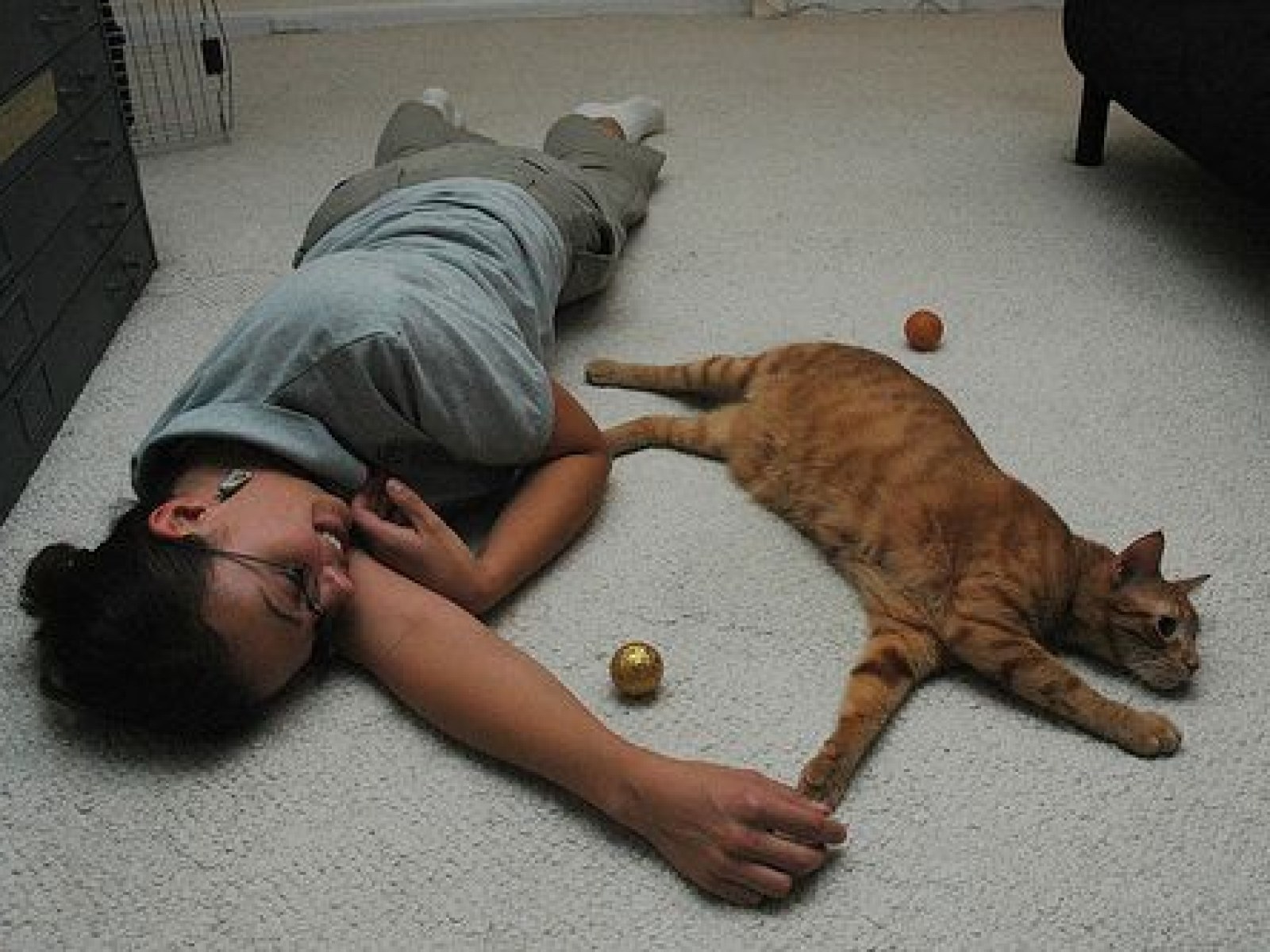 is cigarette smoke harmful to cats Second-hand linked pet deaths and illnesses, experts say Is Cigarette Smoke Bad For