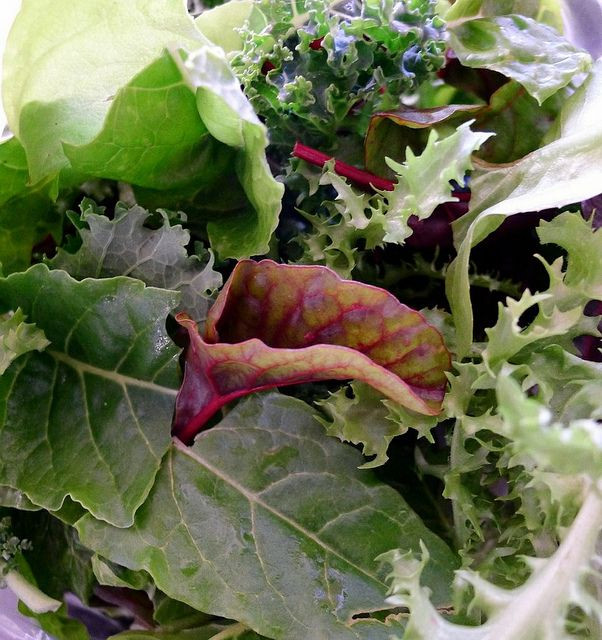 salad