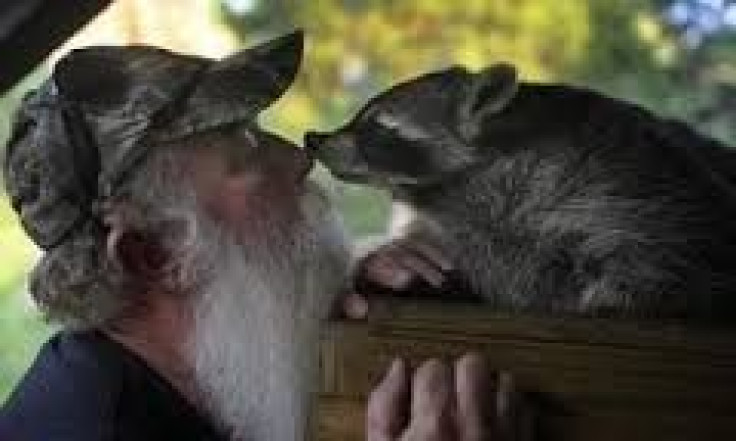 Clone of Rebekah the Raccoon