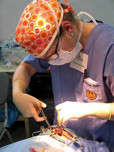 surgery