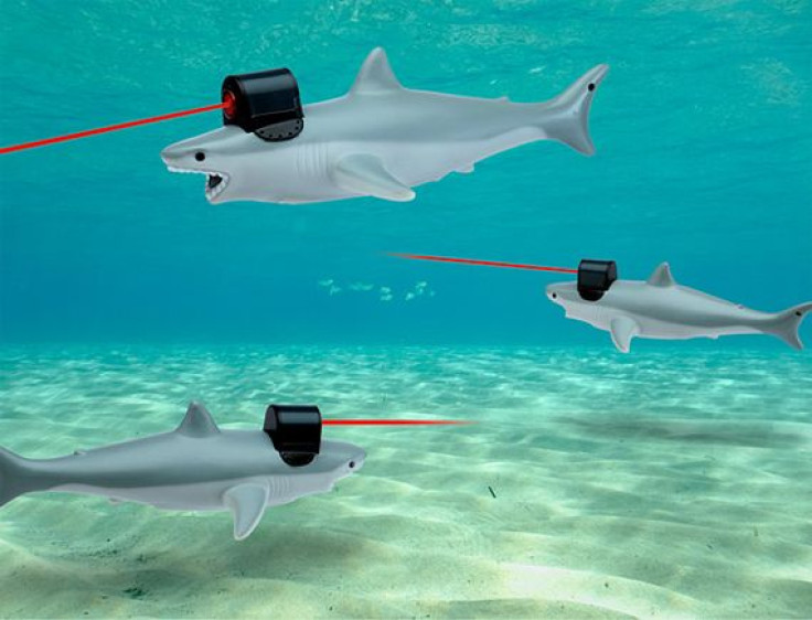 sharks-with-fricking-laser-pointers-1