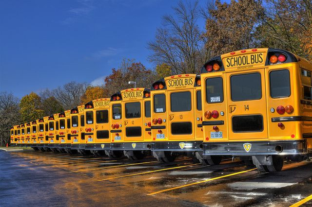 Buses