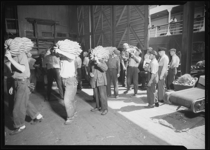 Longshoremen Leave AFL-CIO Partnership Over Obamacare