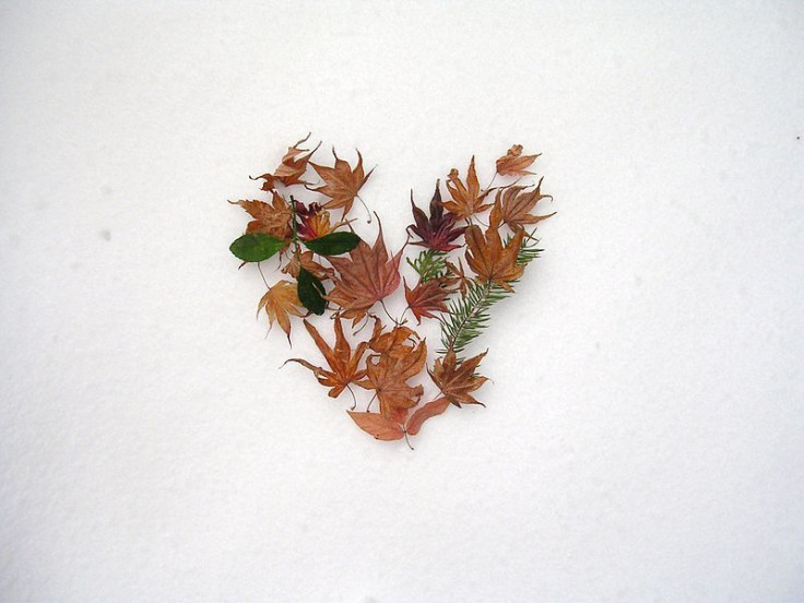 Heart of leaves in snow