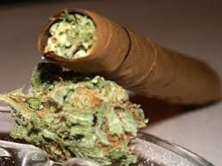 U.S. Senators Examine Marijuana Prohibition