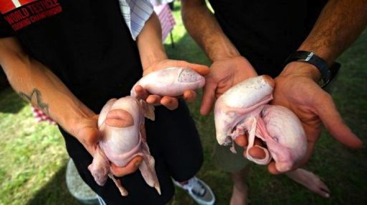 World Testicle Cooking Competition