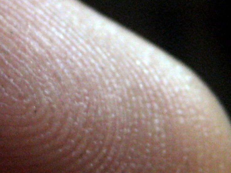 fingerprint