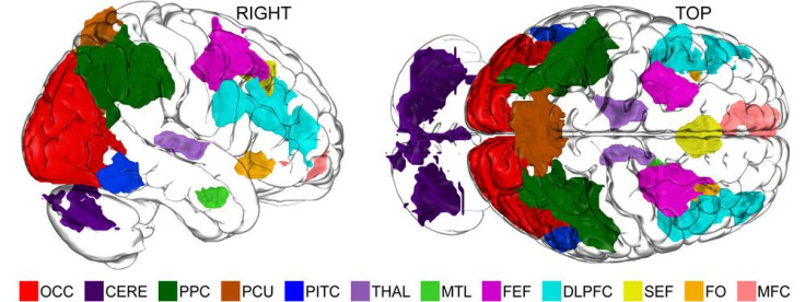 Dartmouth Researchers Plumb Brain For Imagination