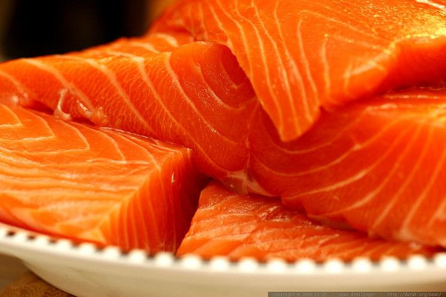 Salmon
