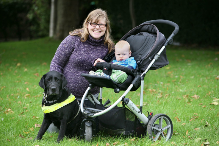 Guz_Guide_Dog-016