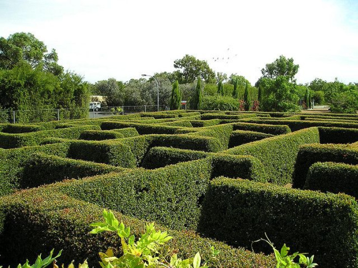 maze