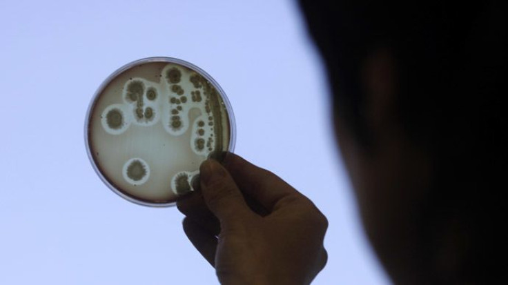 Flesh-Eating Bacteria