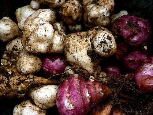 soil