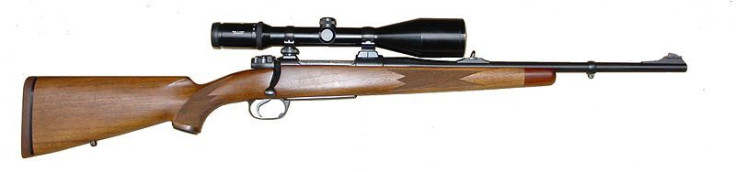 Modern hunting rifle