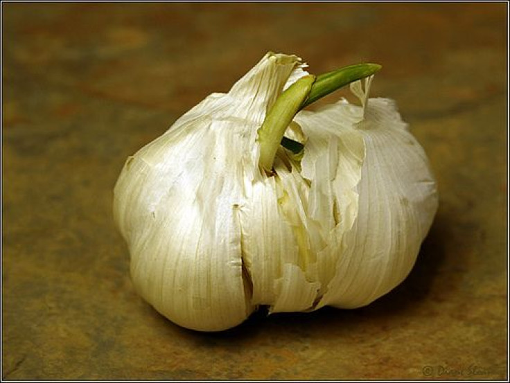 Garlic Bulb