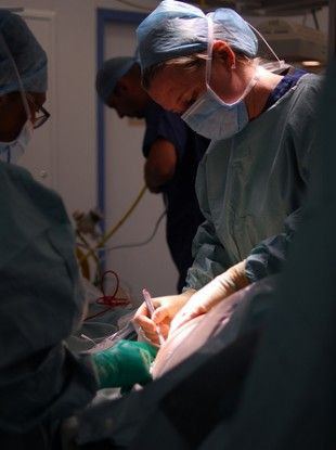 organ transplant