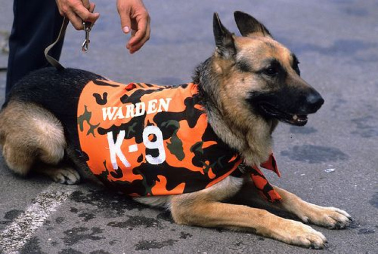 k9