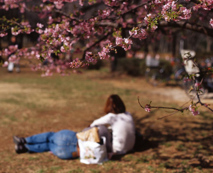 couple-in-grass