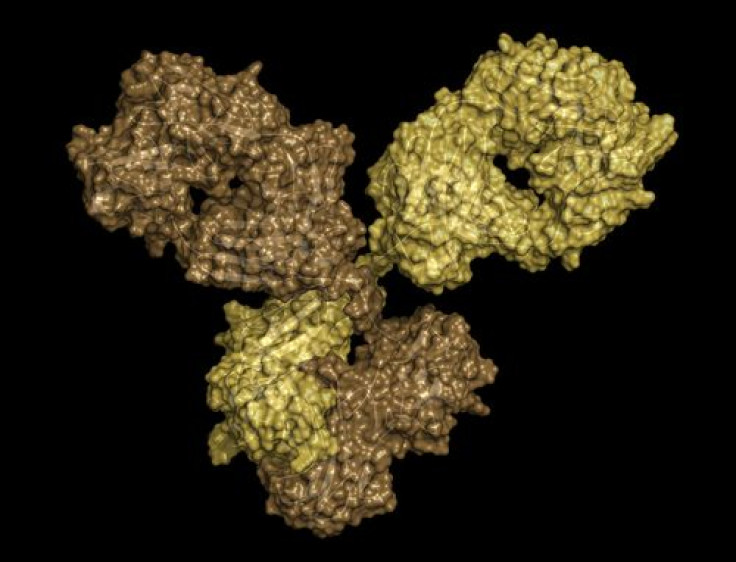 monoclonal antibodies