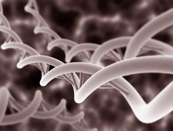DNA
