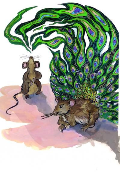 mousestudy