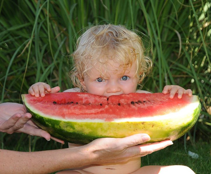 Toddler eating watermelon