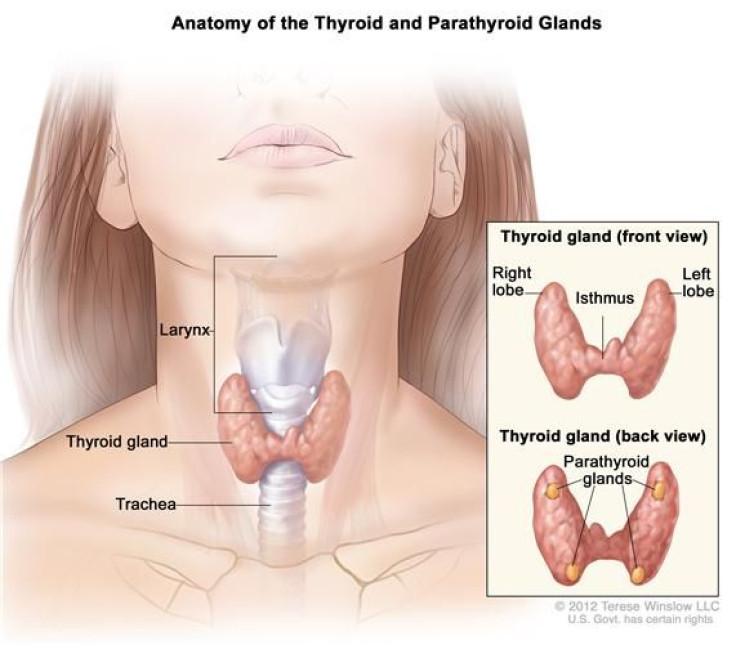 FDA Expands Naxavar Approval For Thyroid Cancers