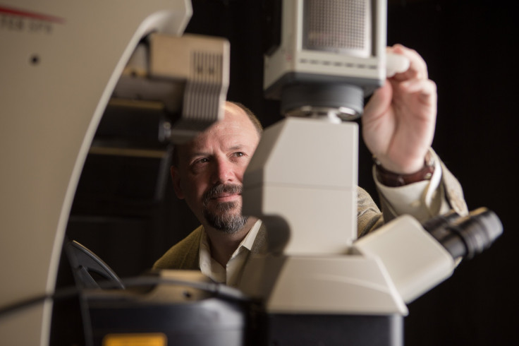 Biologist Greg Roman