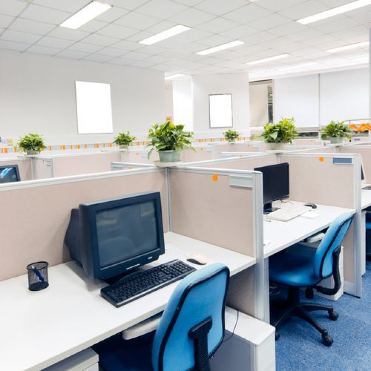 Plants in an office environment