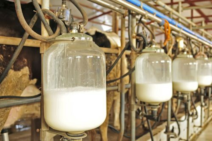 Raw milk production